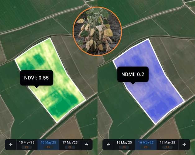 GIS Mapping &amp; Spatial Solutions 